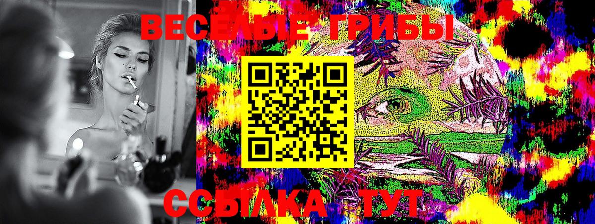 Псилоцибиновые грибы Psilocybine cubensis  Вход с VPN  Зеленогорск 